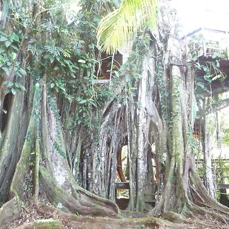 Topos Tree House กาอุยตา ภายนอก รูปภาพ