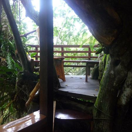 Topos Tree House กาอุยตา ภายนอก รูปภาพ