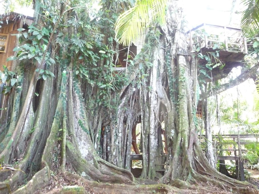 Topos Tree House กาอุยตา ภายนอก รูปภาพ