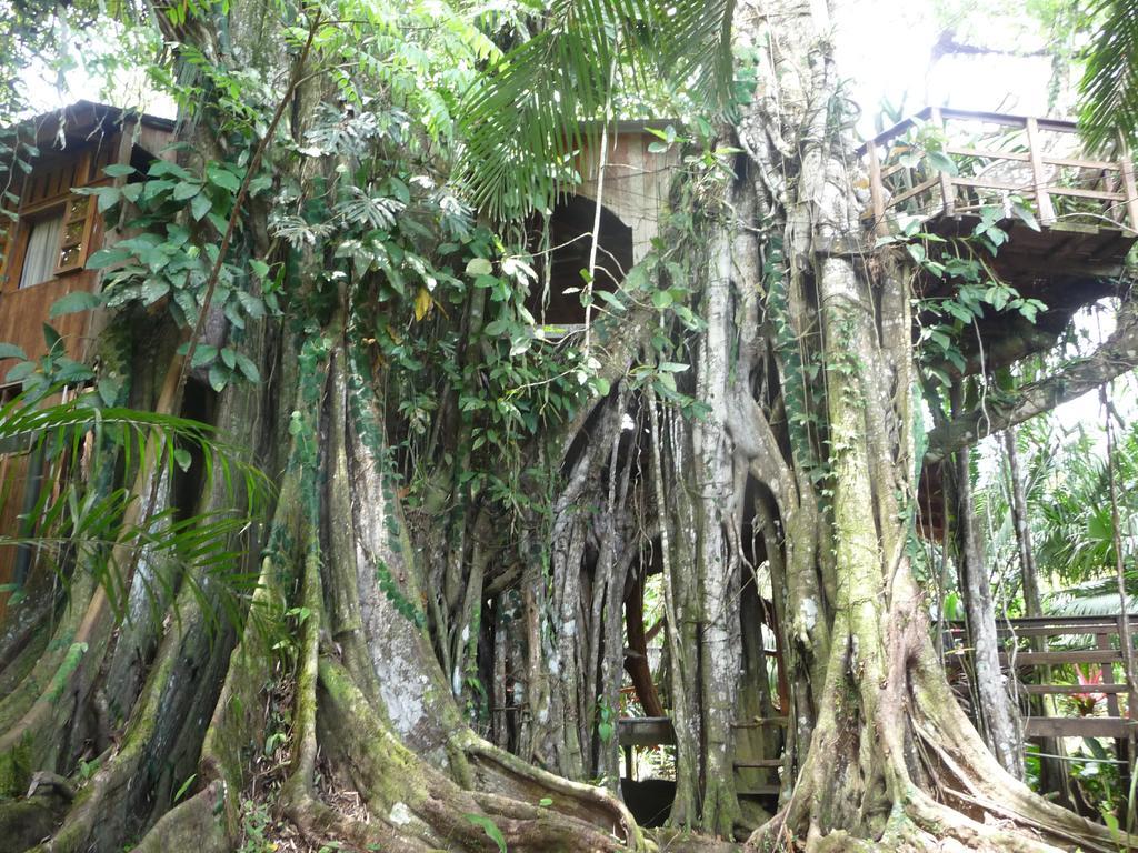 Topos Tree House กาอุยตา ภายนอก รูปภาพ