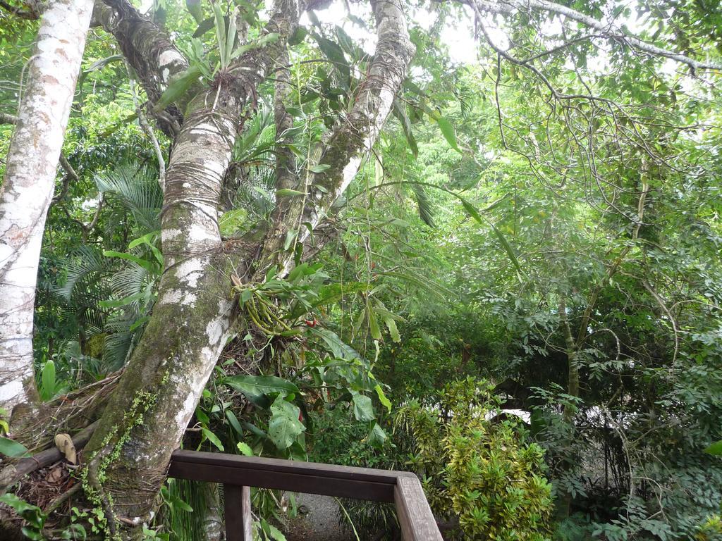 Topos Tree House กาอุยตา ภายนอก รูปภาพ