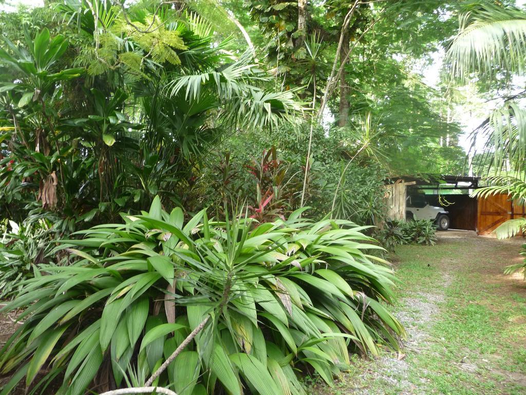 Topos Tree House กาอุยตา ภายนอก รูปภาพ