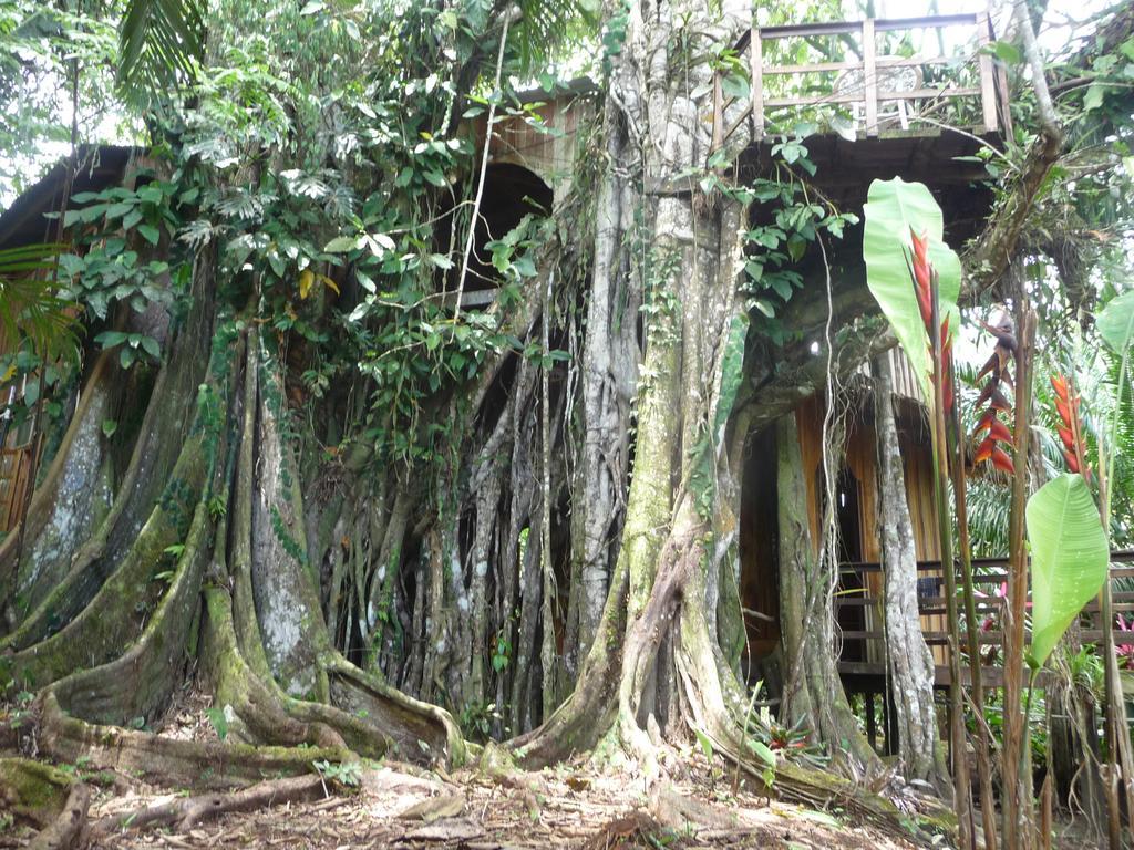 Topos Tree House กาอุยตา ภายนอก รูปภาพ
