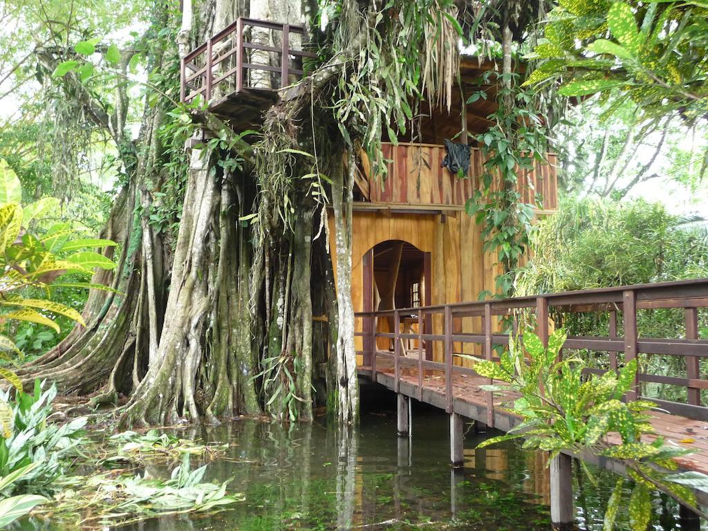 Topos Tree House กาอุยตา ภายนอก รูปภาพ