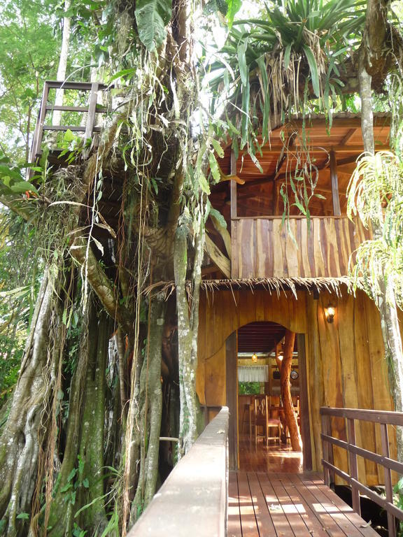 Topos Tree House กาอุยตา ห้อง รูปภาพ