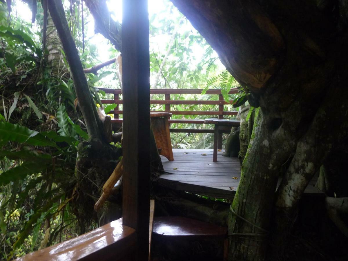 Topos Tree House กาอุยตา ภายนอก รูปภาพ
